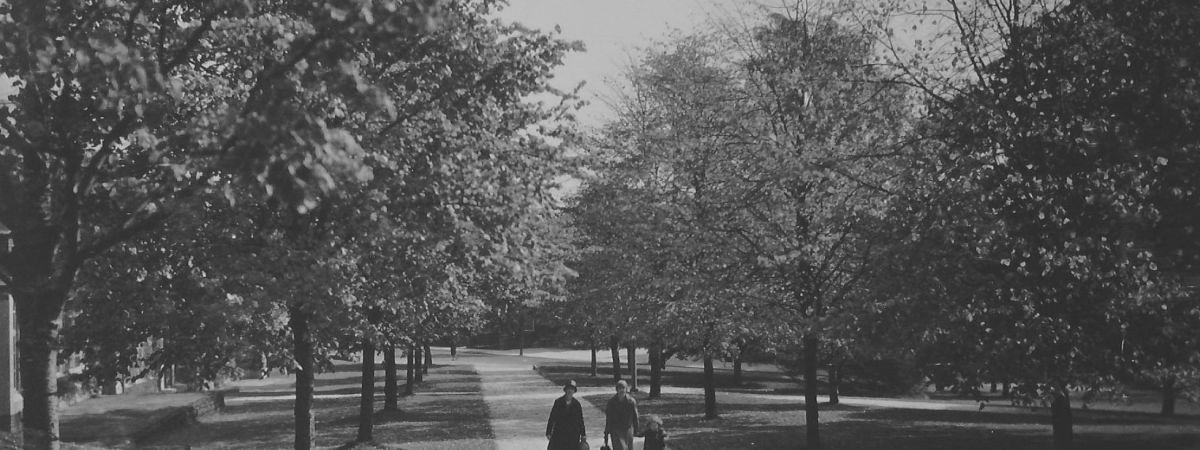 Digital Trail: Village Green