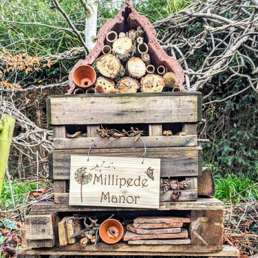 cropped-bug-hotel-30146.jpg