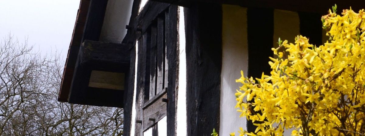Selly Manor Opening Hours