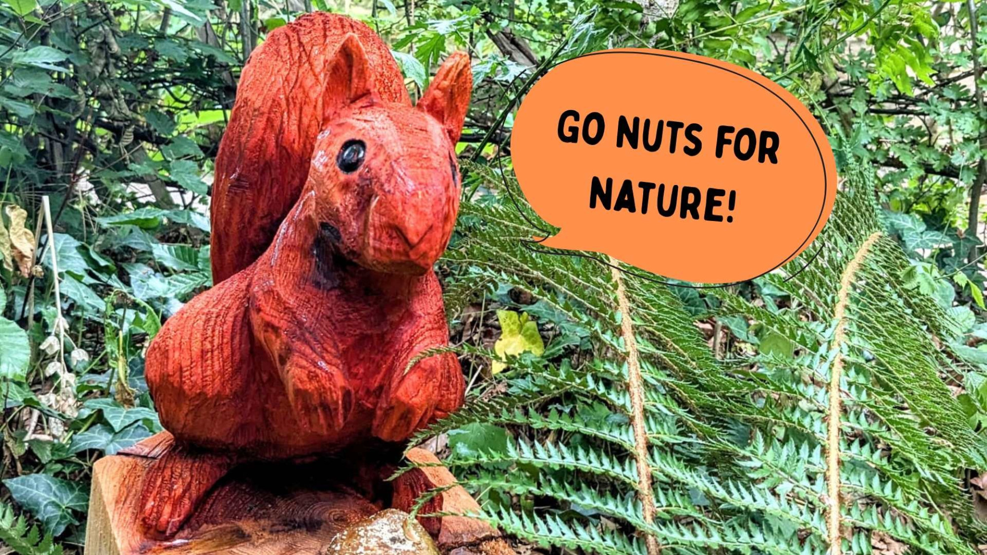 Selly Manor Summer: Go nuts for nature